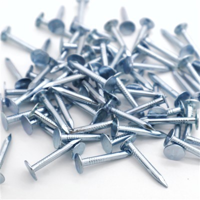 Suure peaga laenaelad